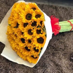 50 Girasoles