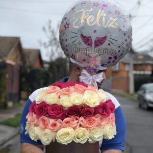 BOX 75 ROSAS