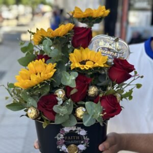 Box Girasol
