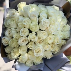 Rosas Blancas