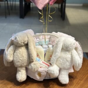 Gemelas Arreglo para nacimiento