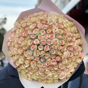 200 Rosas Rosadas