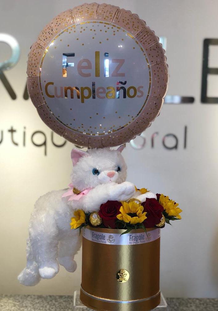 GATA - Imagen 2